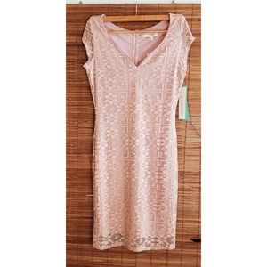 G Collection Lace Dress